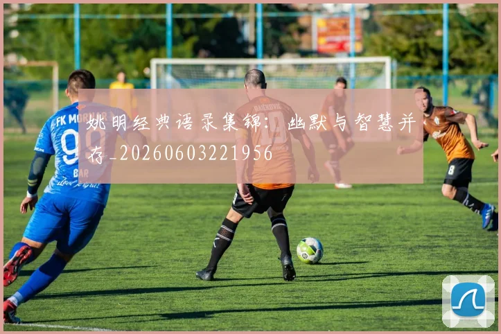 姚明经典语录集锦：幽默与智慧并存_20260603221956